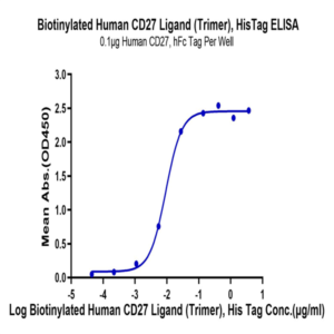 Biotinylated Human CD27 Ligand/CD70 Trimer Protein (Primary Amine Labeling) (CDL-HM427B)