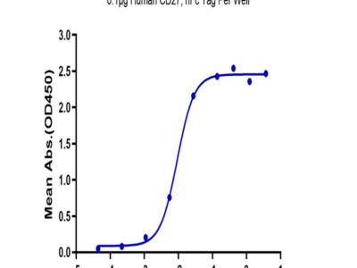 Biotinylated Human CD27 Ligand/CD70 Trimer Protein (Primary Amine Labeling) (CDL-HM427B)