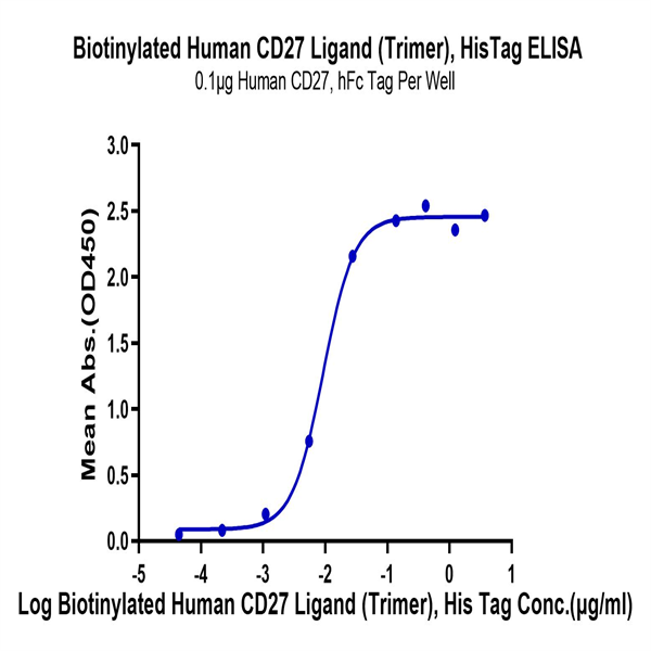 Biotinylated Human CD27 Ligand/CD70 Trimer Protein (Primary Amine Labeling) (CDL-HM427B)