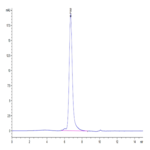 Biotinylated Human CD27 Ligand/CD70 Trimer Protein (Primary Amine Labeling) (CDL-HM427B)