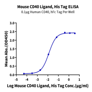 Mouse CD40 Ligand/TNFSF5 Protein (CDL-MM140)
