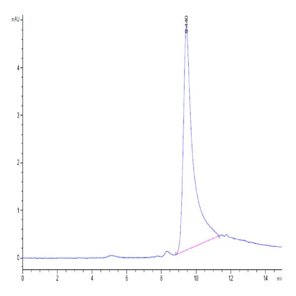 Mouse CD40 Ligand/TNFSF5 Protein (CDL-MM140)