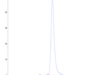 Mouse CHODL Protein (CDL-MM201)