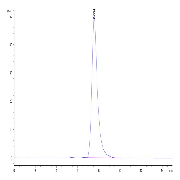 Mouse CHODL Protein (CDL-MM201) Mouse CHODL Protein (CDL-MM201)