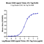 Mouse CD40 Ligand/TNFSF5 Trimer Protein (CDL-MM240)