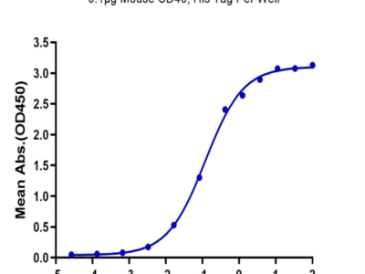 Mouse CD40 Ligand/TNFSF5 Trimer Protein (CDL-MM240)