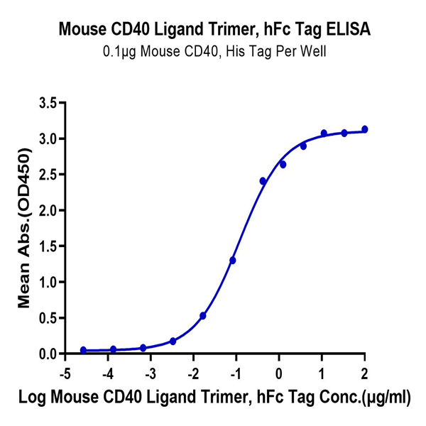 Mouse CD40 Ligand/TNFSF5 Trimer Protein (CDL-MM240) Mouse CD40 Ligand/TNFSF5 Trimer Protein (CDL-MM240)