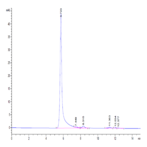 Mouse CD40 Ligand/TNFSF5 Trimer Protein (CDL-MM240)
