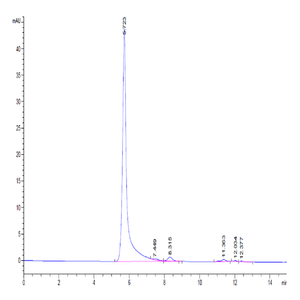 Mouse CD40 Ligand/TNFSF5 Trimer Protein (CDL-MM240)