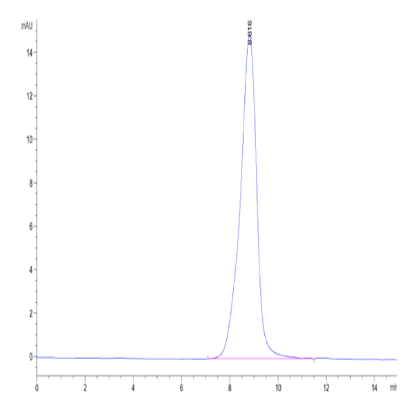 Cynomolgus CD44 Protein (CDX-CM144)