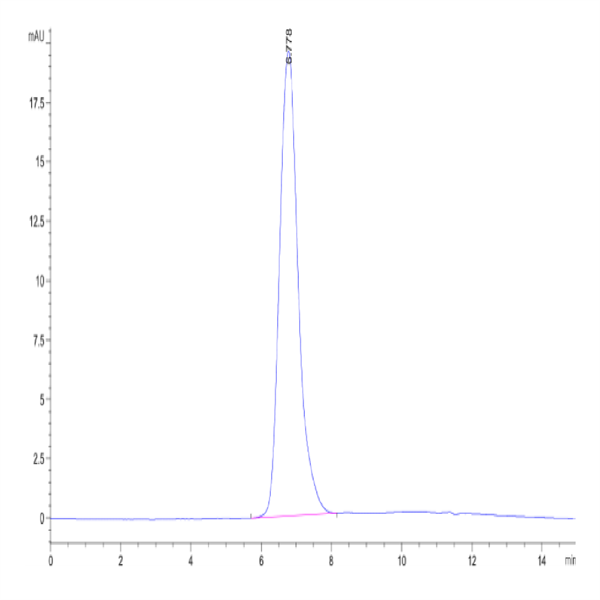 Human CD44 Protein (CDX-HM244)