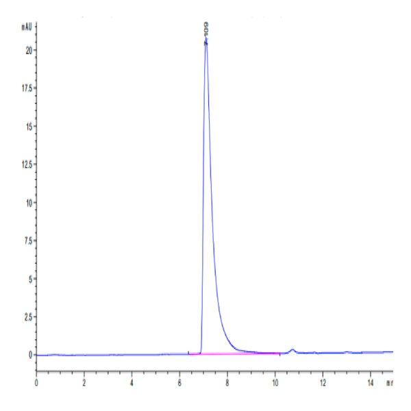 Canine CEACAM-1/CD66a Protein (CEA-DM101) Canine CEACAM-1/CD66a Protein (CEA-DM101)