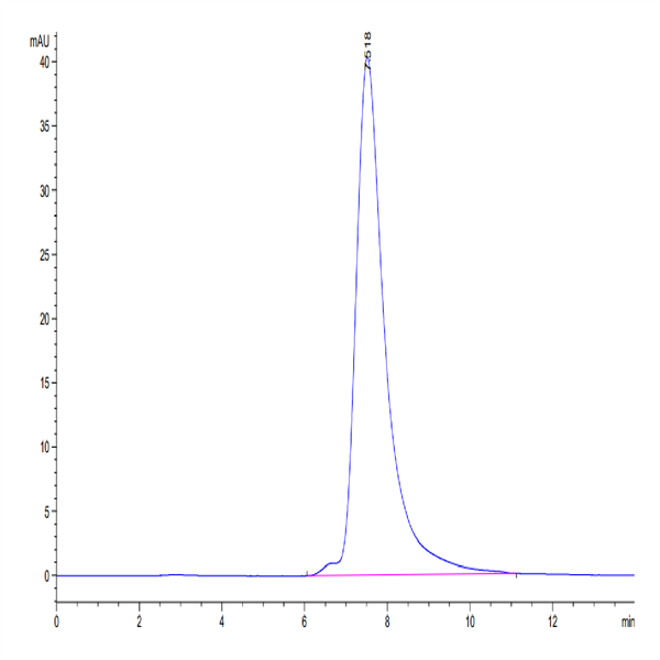 Human CEACAM-8/CD66b Protein (CEA-HM108)