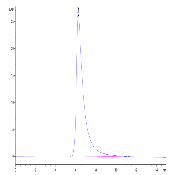Human CEACAM-1/CD66a Protein (CEA-HM201)