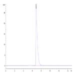 Mouse CEACAM-1/CD66a Protein (CEA-MM101)