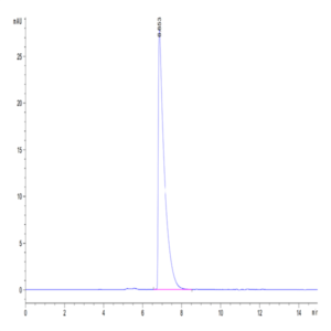 Mouse CEACAM-1/CD66a Protein (CEA-MM101)