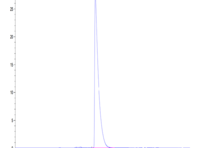 Mouse CEACAM-1/CD66a Protein (CEA-MM101)