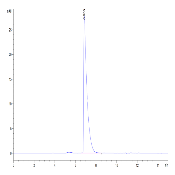 Mouse CEACAM-1/CD66a Protein (CEA-MM101) Mouse CEACAM-1/CD66a Protein (CEA-MM101)