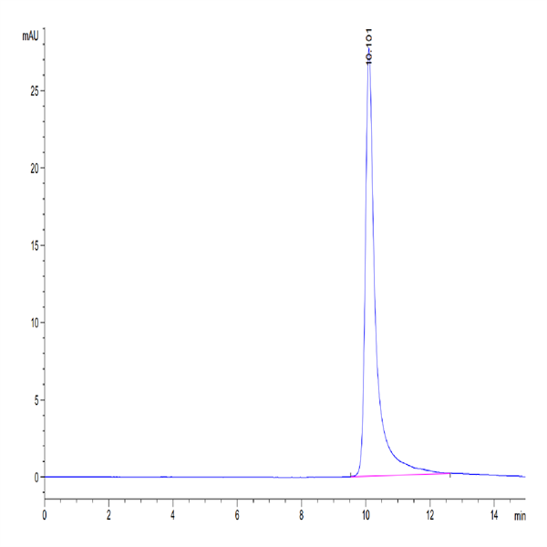Rhesus macaque Complement Factor D/CFD Protein (CFD-CM101)