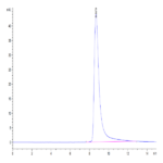 Human Complement Factor D/CFD Protein (CFD-HM101)