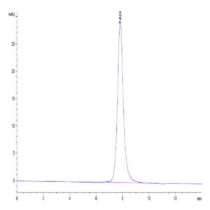 Mouse Complement Factor D/CFD Protein (CFD-MM201)