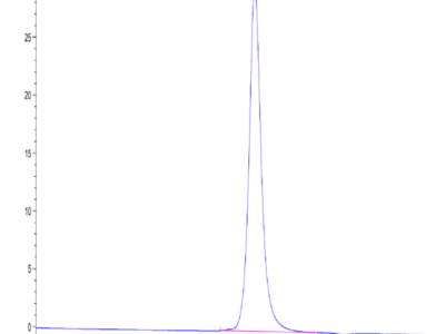 Mouse Complement Factor D/CFD Protein (CFD-MM201)