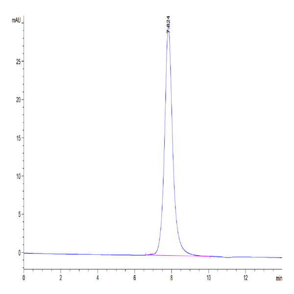 Mouse Complement Factor D/CFD Protein (CFD-MM201) Mouse Complement Factor D/CFD Protein (CFD-MM201)