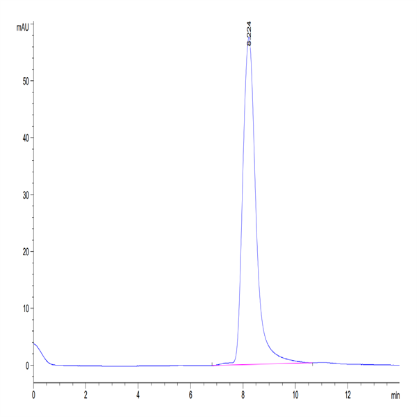 Human Factor H/CFH Protein (CFH-HM101)