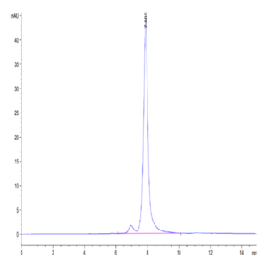 Mouse Factor H/CFH Protein (CFH-MM101)