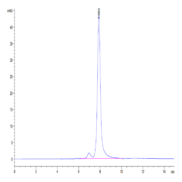 Mouse Factor H/CFH Protein (CFH-MM101) Mouse Factor H/CFH Protein (CFH-MM101)