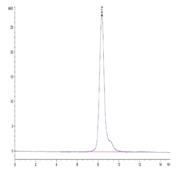 Mouse Complement factor I Protein (CFI-MM101) Mouse Complement factor I Protein (CFI-MM101)