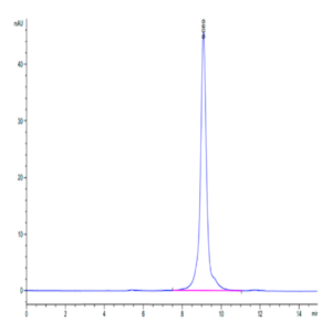 Rat Coagulation Factor II Protein (CFR-RM102)