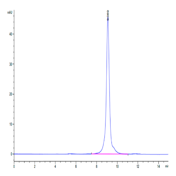 Rat Coagulation Factor II Protein (CFR-RM102) Rat Coagulation Factor II Protein (CFR-RM102)