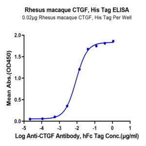 Rhesus macaque CTGF/CCN2 Protein (CGF-CM101)