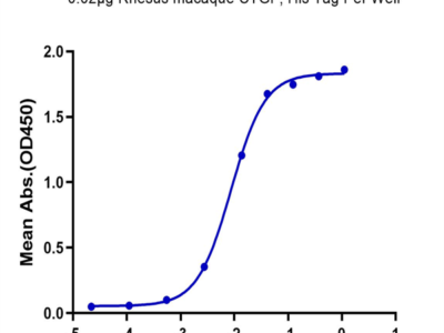 Rhesus macaque CTGF/CCN2 Protein (CGF-CM101)