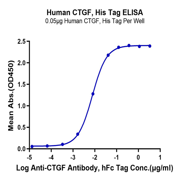 Human CTGF/CCN2 Protein (CGF-HM101) Human CTGF/CCN2 Protein (CGF-HM101)