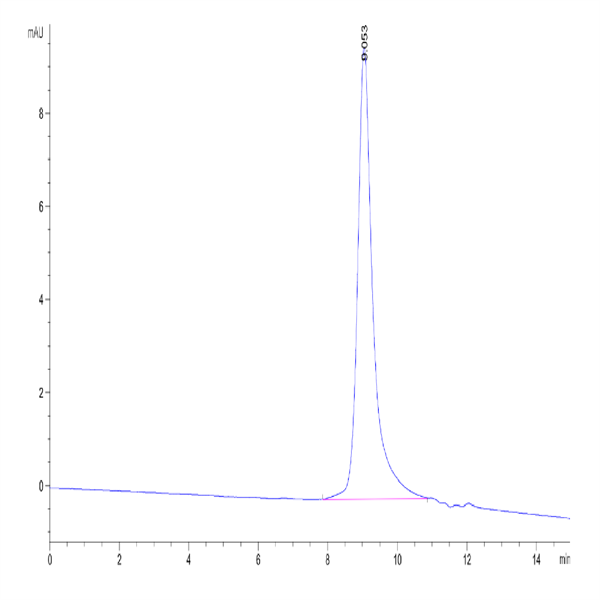 Human CTGF/CCN2 Protein (CGF-HM101)