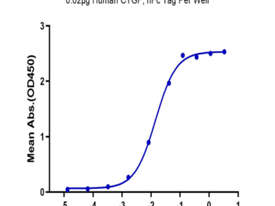 Human CTGF/CCN2 Protein (CGF-HM201)