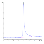 Human CTGF/CCN2 Protein (CGF-HM201)