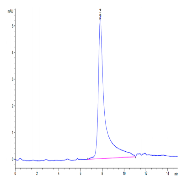 Human CTGF/CCN2 Protein (CGF-HM201)