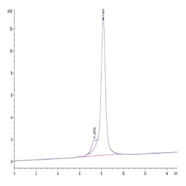 Human CDH6/Cadherin-6 Protein (CHD-HM106) Human CDH6/Cadherin-6 Protein (CHD-HM106)
