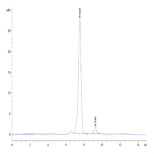 Rat CKMT2 Protein (CKM-RE002)
