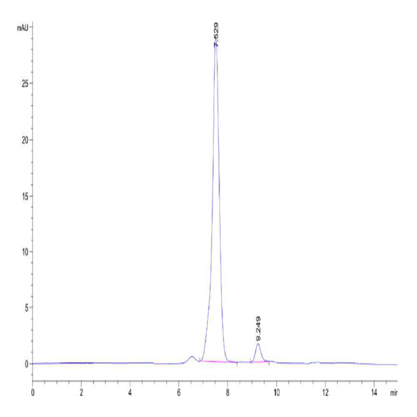 Rat CKMT2 Protein (CKM-RE002) Rat CKMT2 Protein (CKM-RE002)