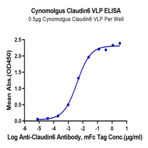 Cynomolgus Claudin 6 Protein-VLP (CLD-CM006)