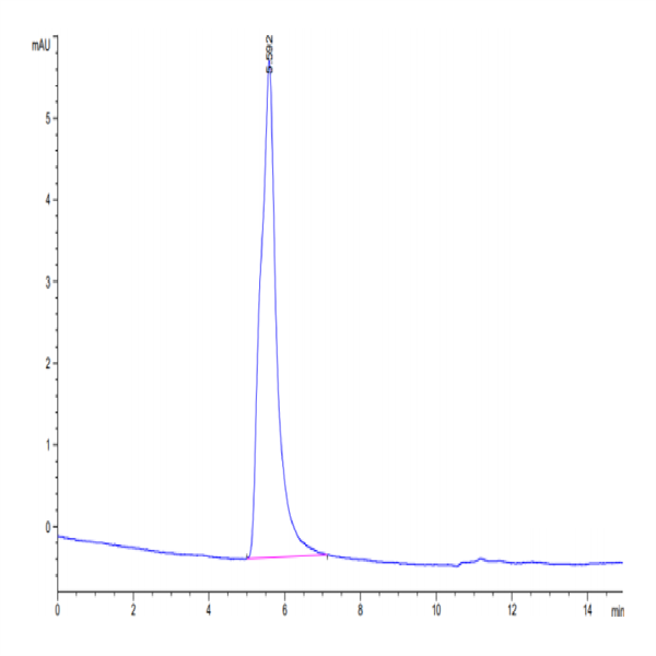 Cynomolgus Claudin 6 Protein-VLP (CLD-CM006)