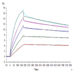 Human Claudin 18.2 Protein-VLP (CLD-HE1822)