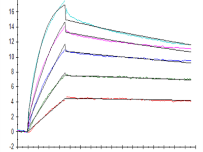 Human Claudin 18.2 Protein-VLP (CLD-HE1822)