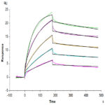 Biotinylated Human Claudin 18.2 Protein-VLP (CLD-HE1822B)
