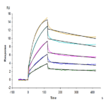 Human Claudin 6 Protein-VLP (CLD-HM006)