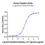 Human Claudin 6 Protein-VLP (CLD-HM006)